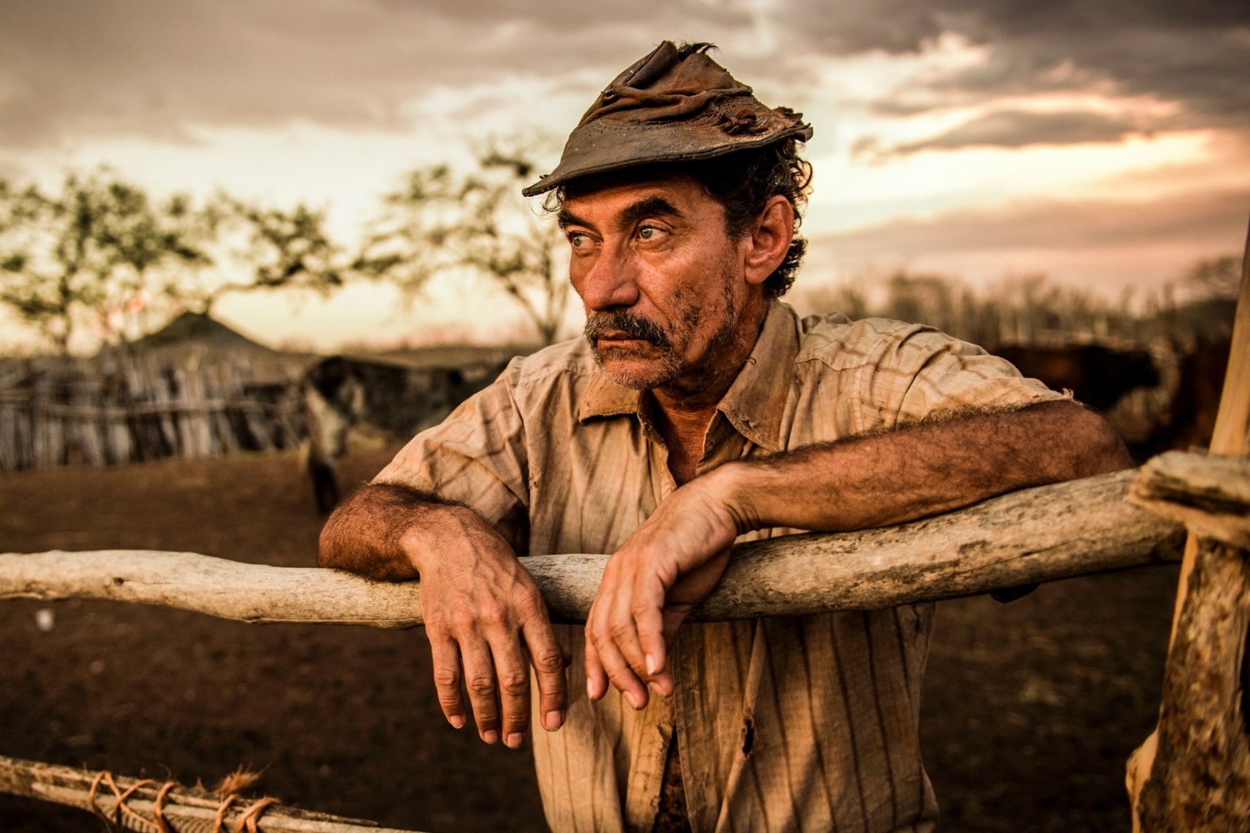 Chico Diaz (Foto: Reprodução)