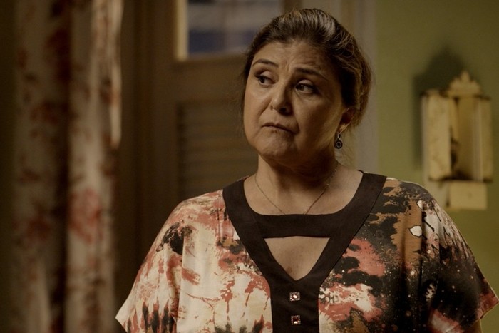 Elizângela (Foto: Reprodução)