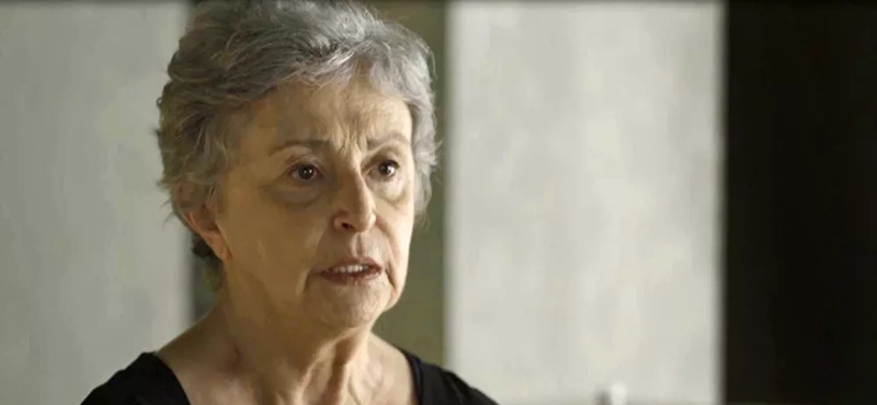 Ana Lúcia Torre (Foto: Reprodução)