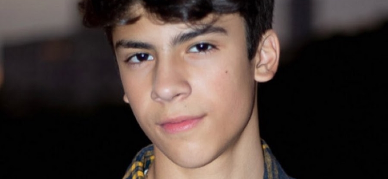 Henrique Camargo (Foto: Reprodução)