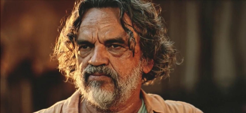 José Dumont (Foto: Reprodução)