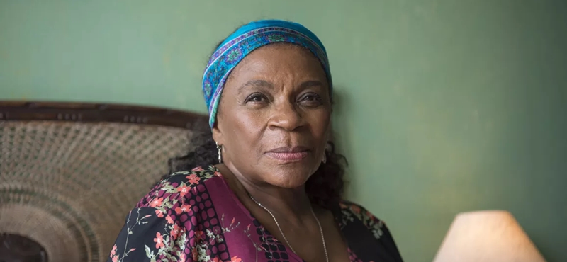 Zezé Motta (Foto: Estevam Avellar)