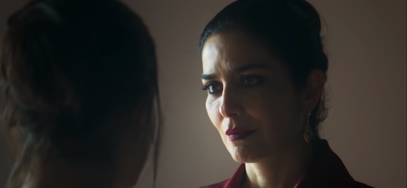 Letícia Sabatella (Foto: Reprodução)