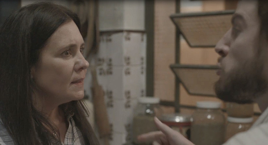 Adriana Esteves (Foto: Reprodução)