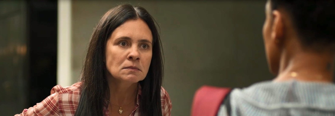 Adriana Esteves (Foto: Reprodução)