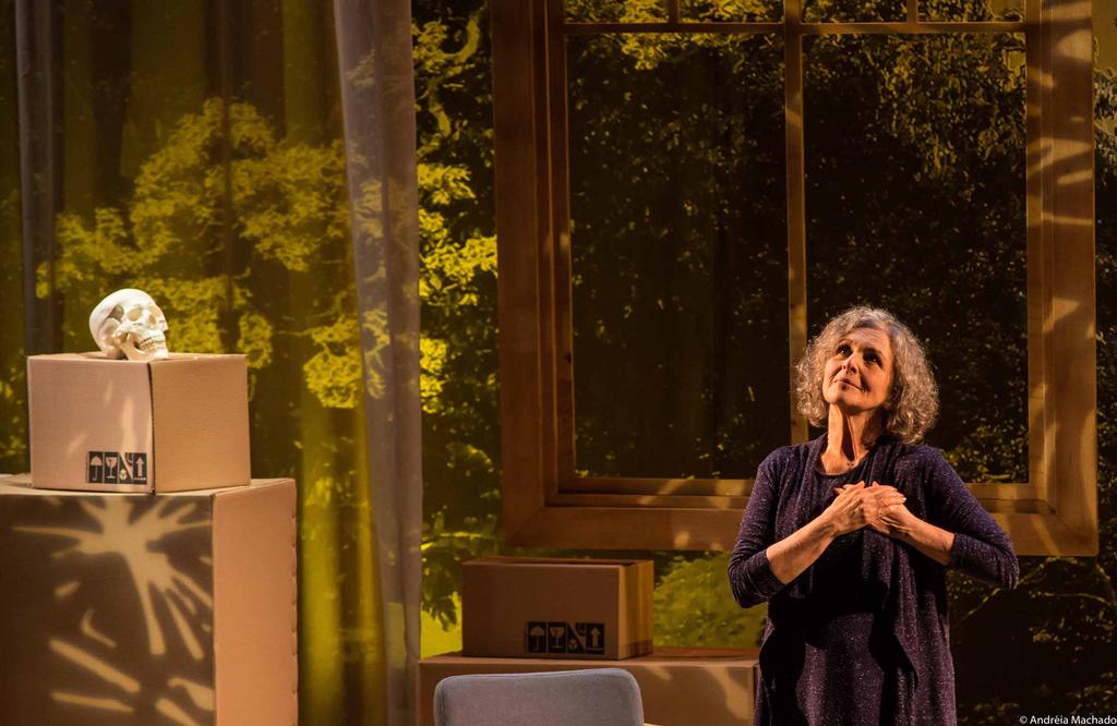 Irene Ravache (Foto: Andréia Machado)